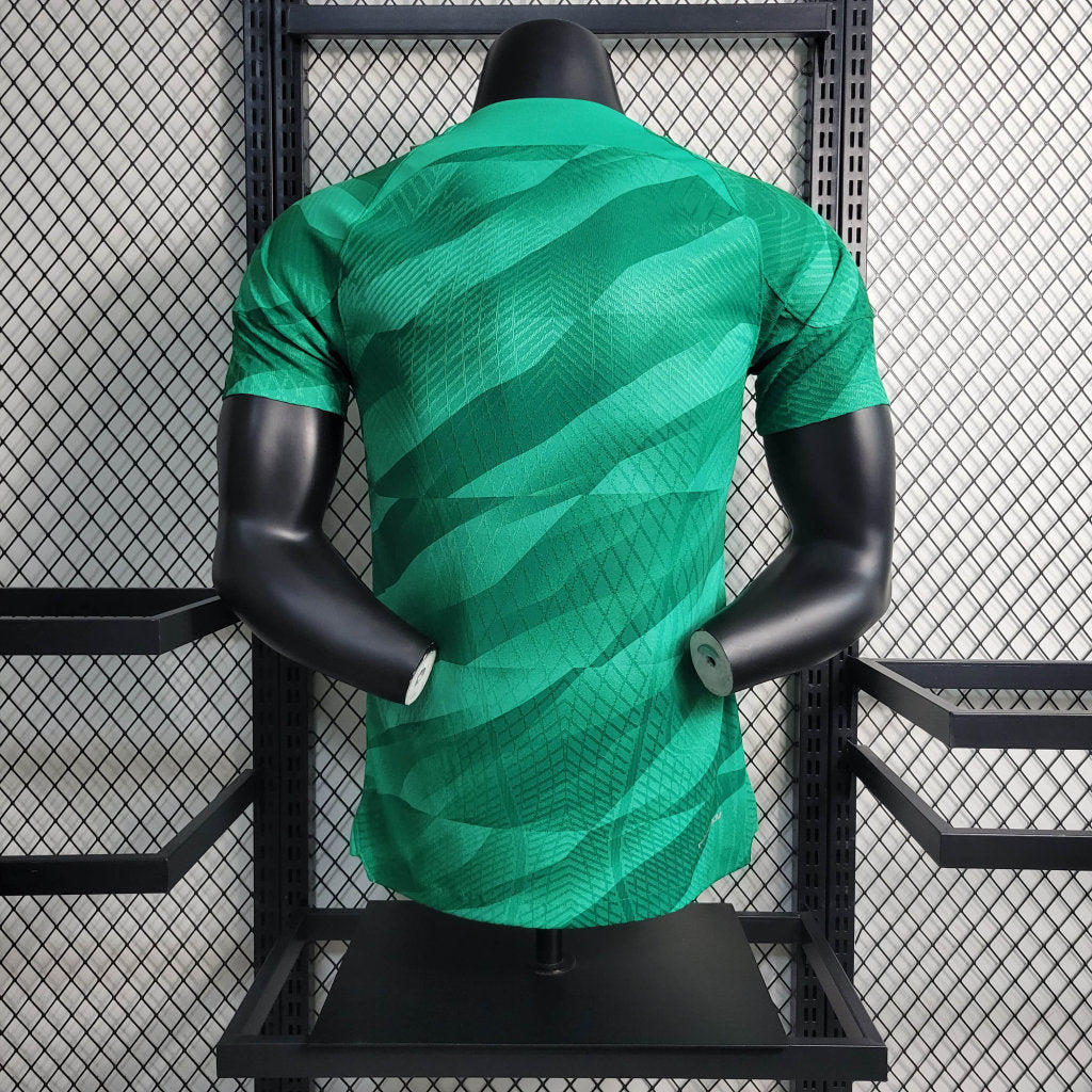 Paris Saint-Germain 2023/24 (edicion verde)