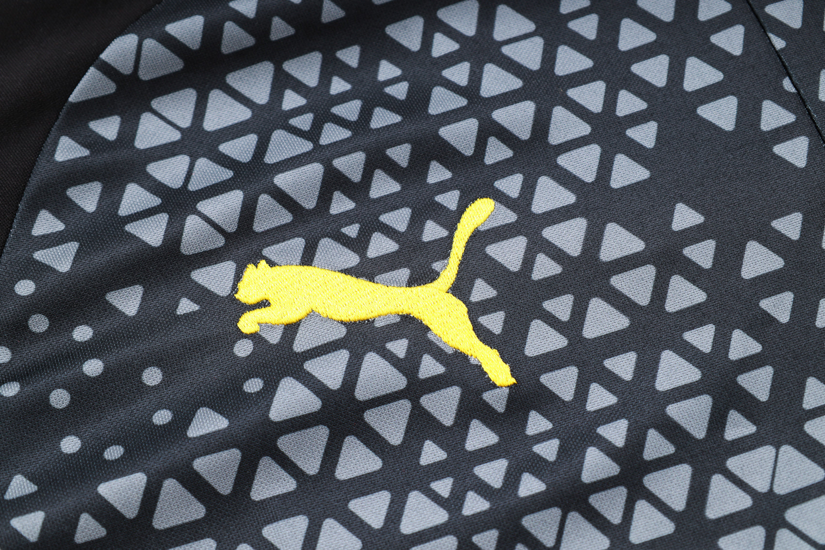 Chandales Borussia Dortmund
