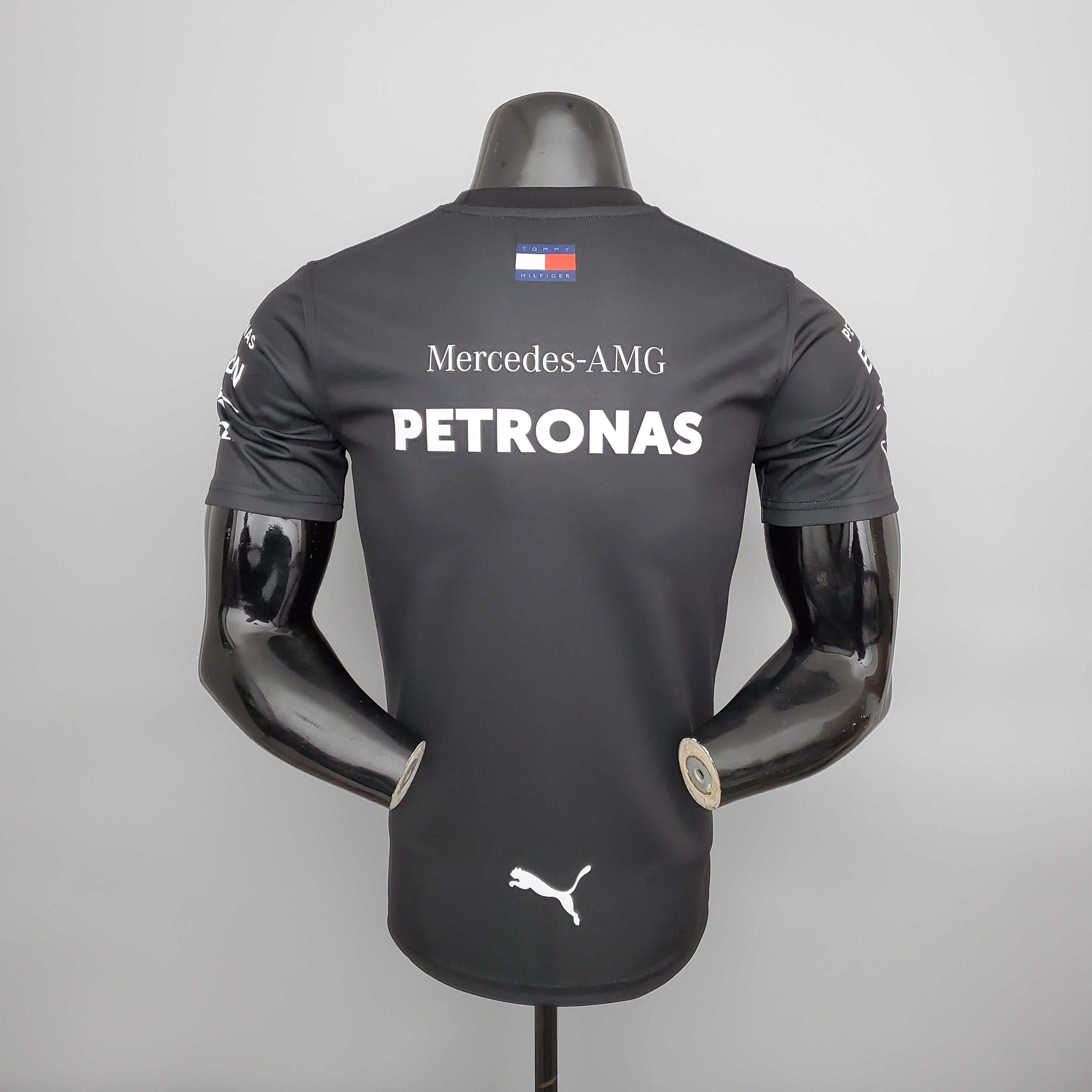 F1 Mercedes 2021 (L.Hamilton)